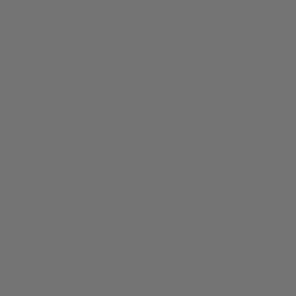 3299 – FOG NEW