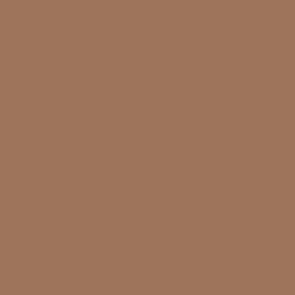 3251 – BRONZE