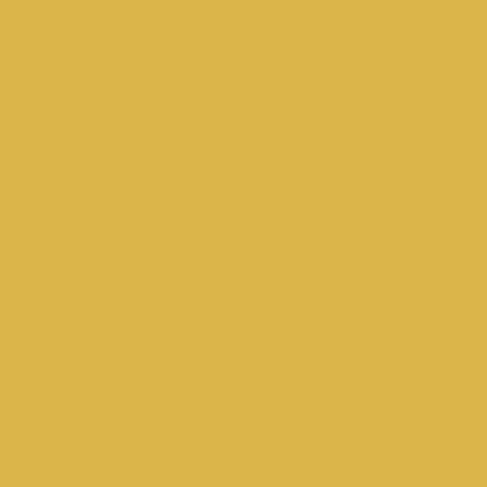 3290 – SUNNY NEW