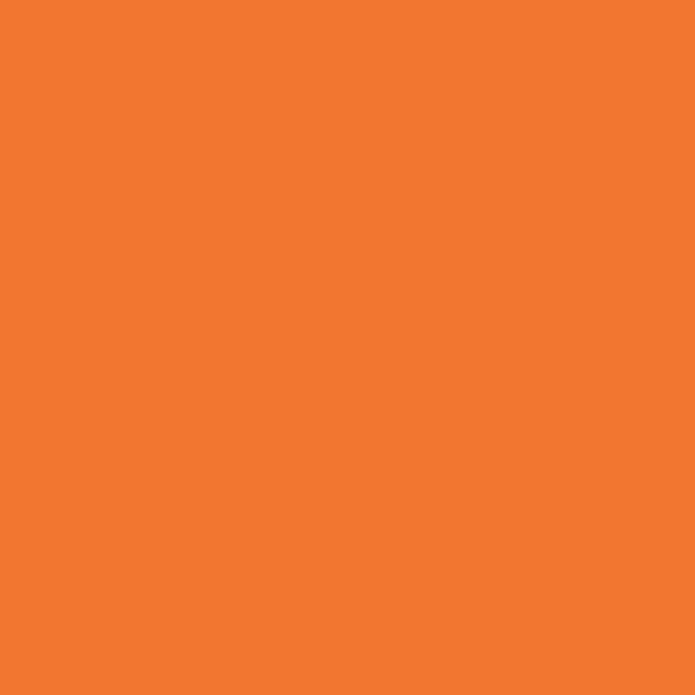 3139 – ORANGE