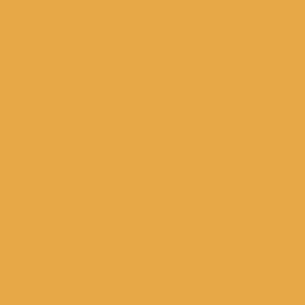 3289 – GOLDENROD NEW