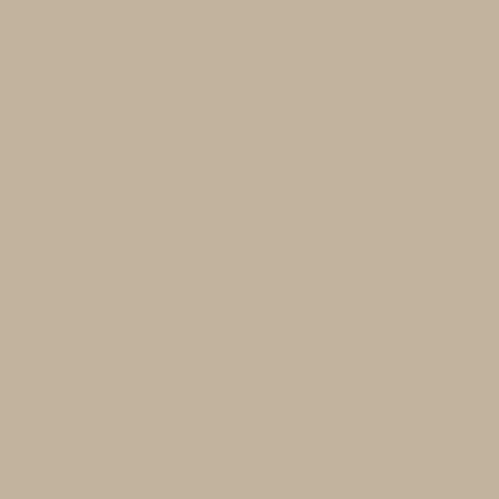 3250 – CAFE LATTE